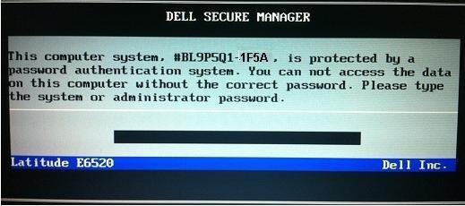 dell 1f5a bios master password